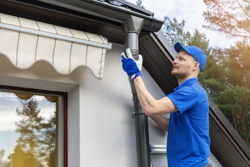 Gutters Service detail